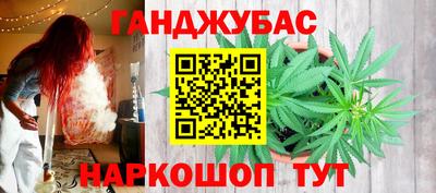 сатива Будённовск