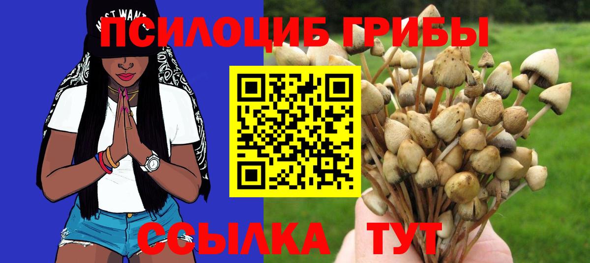 Галлюциногенные грибы GOLDEN TEACHER Сердобск